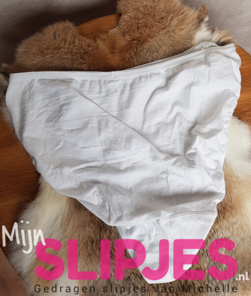 Hoge Ten Cate slip lekker gedragen wel te groot is een xl - Afbeelding 2
