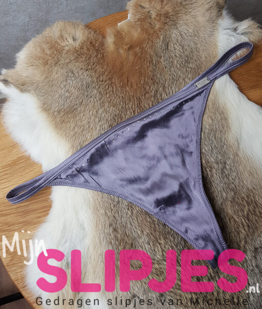 Grijze zijden string van het merk Sapph