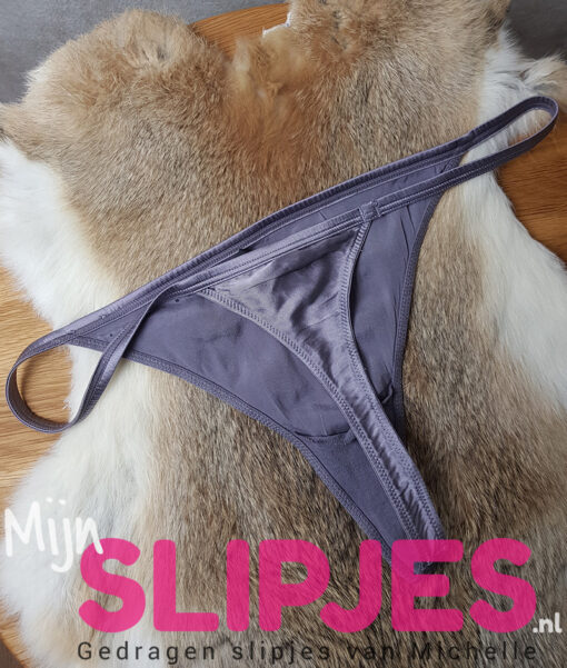 Grijze zijden string van het merk Sapph - Afbeelding 2